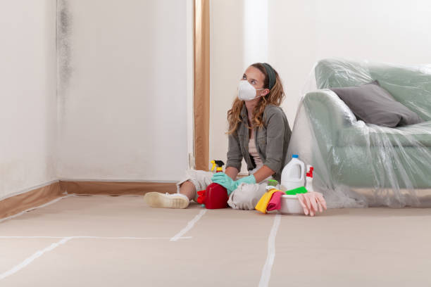 Reliable Mold Remediation contractor in Spotsylvania, VA by Cheap Mold Removal